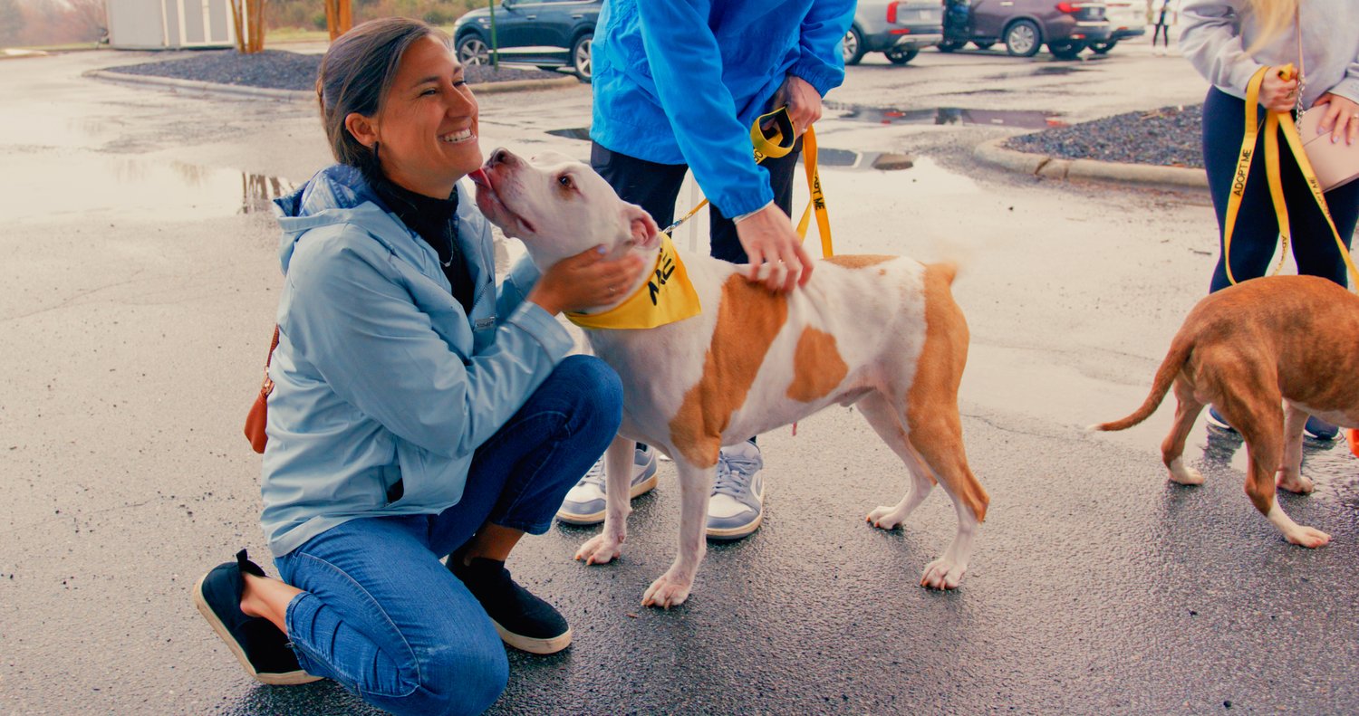 Woman smiling while playing with dogs at Recycle and Rescue event